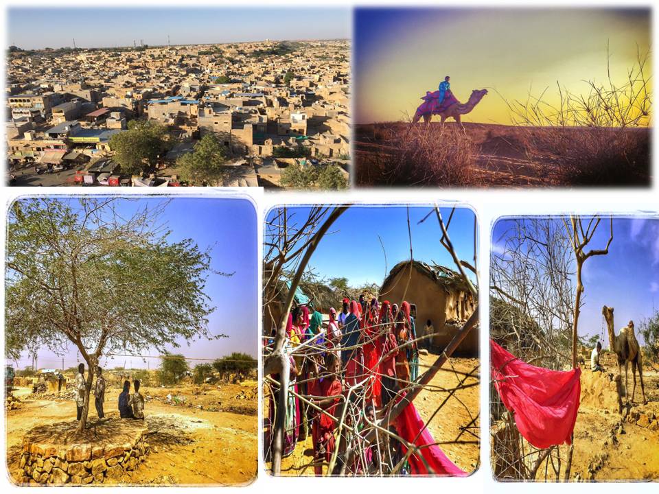 ‘ தீரன் அதிகாரம் ஒன்று’  விஷுவல் ட்ரீட் – சொல்கிறார் ஒளிப்பதிவாளர் சத்யன் சூரியன்  !!!