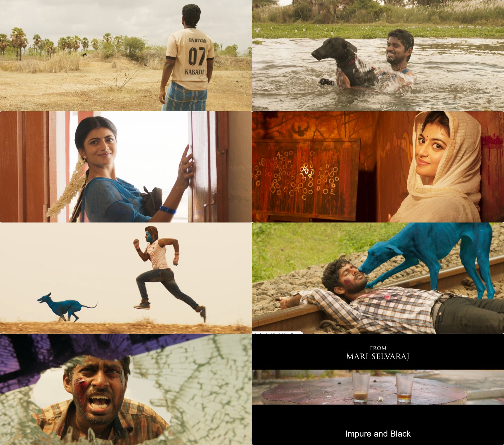 இந்தியில் ரீமேக் செய்யப்பட உள்ளது ‘பரியேறும் பெருமாள்’